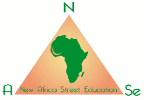 New Africa Education